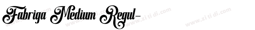 Fabriga Medium Regul字体转换 Fabriga Medium Regul字体转换